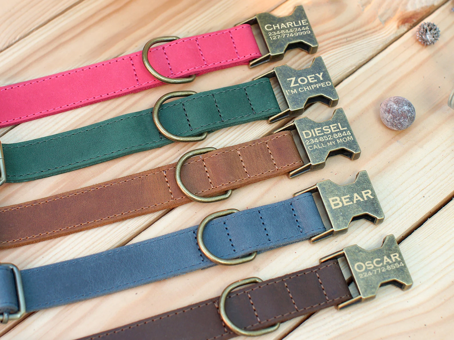 Personalized Dog Collar