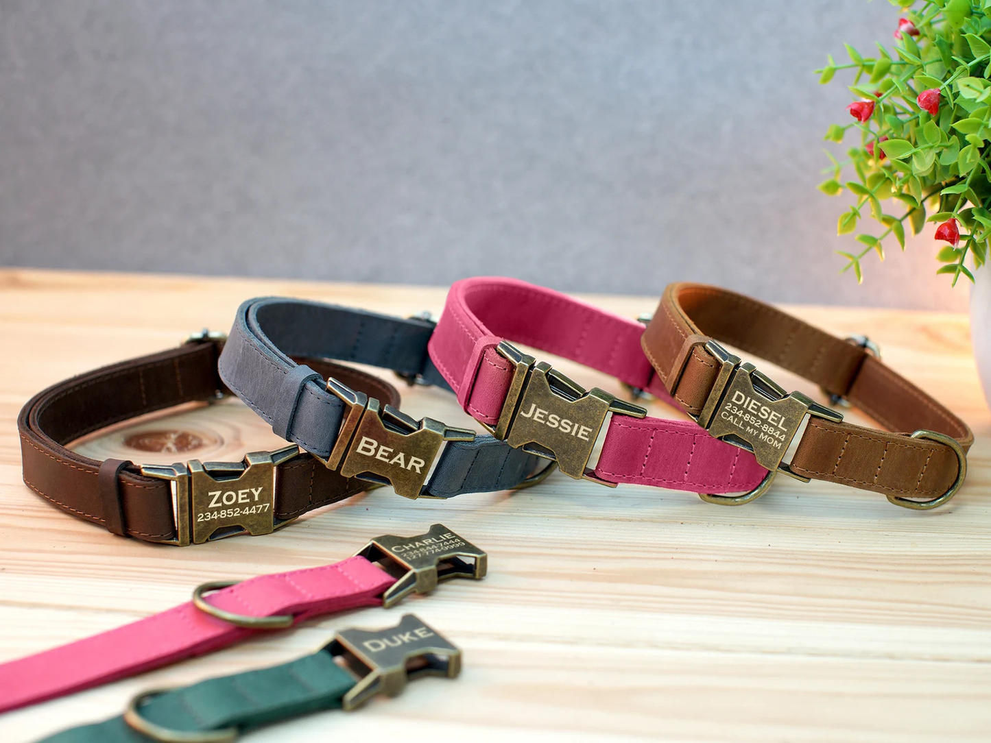 Personalized Dog Collar