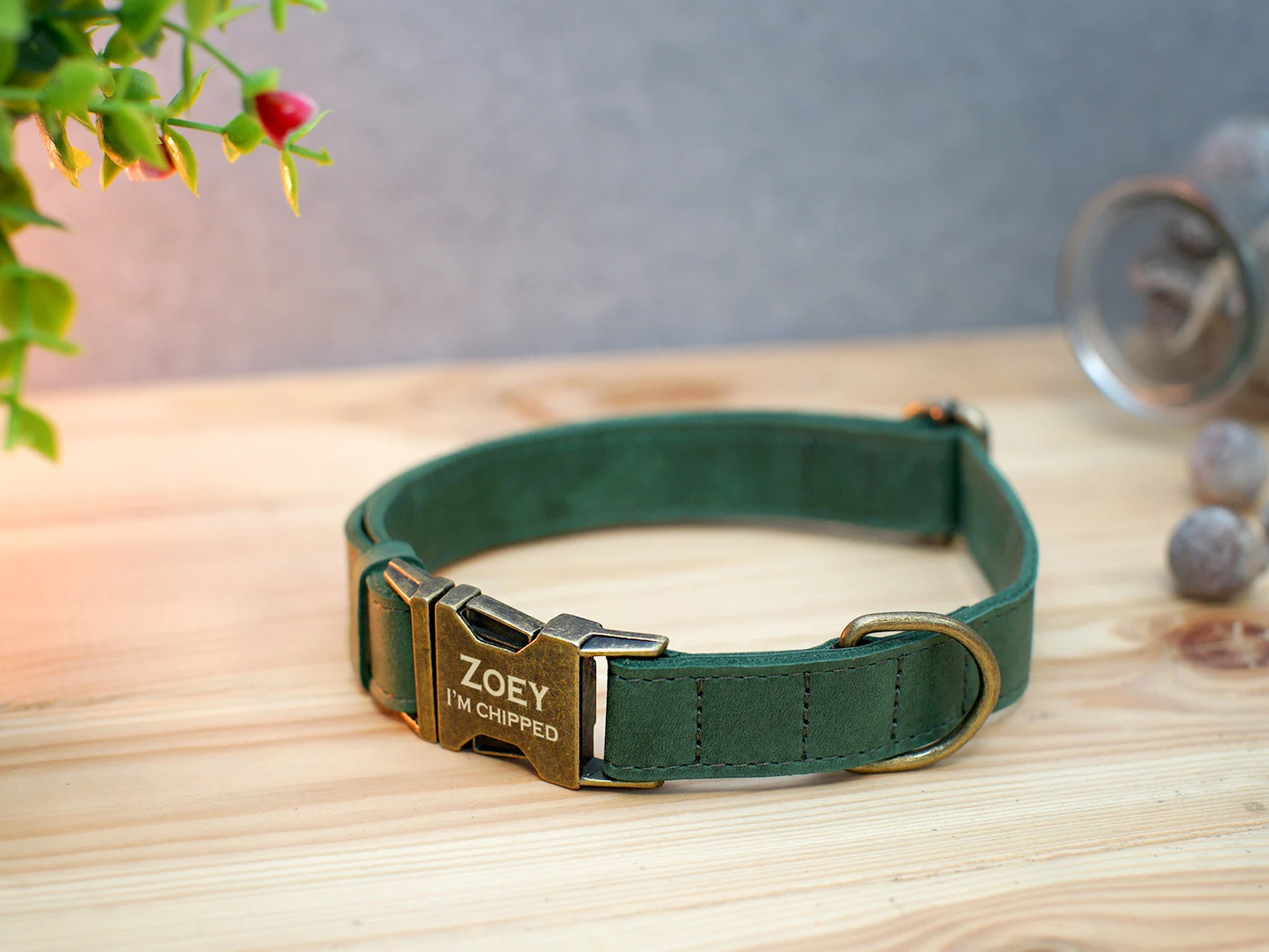 Personalized Dog Collar