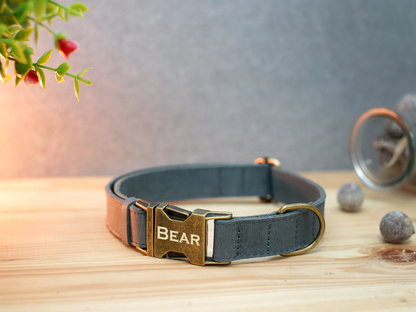 Personalized Dog Collar