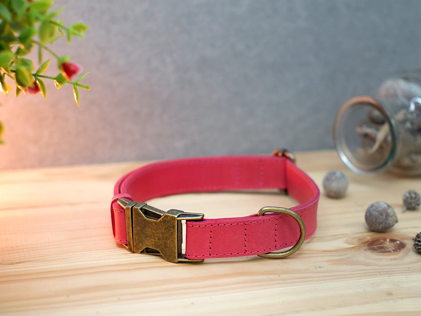 Personalized Dog Collar