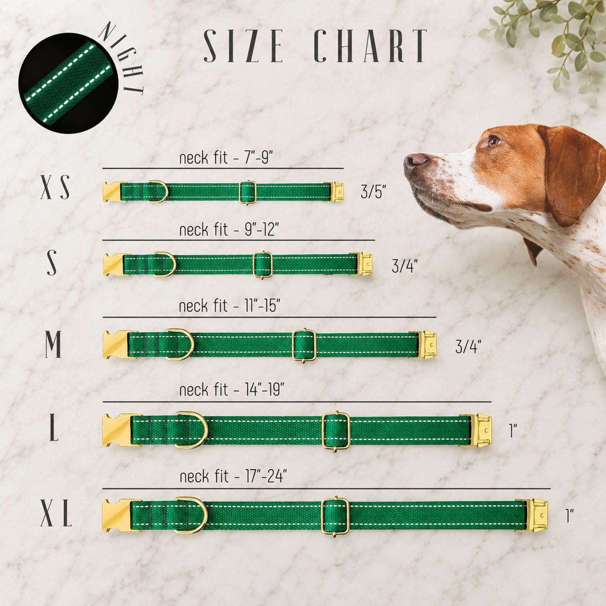 Dog collar size chart with a dog on a marble background