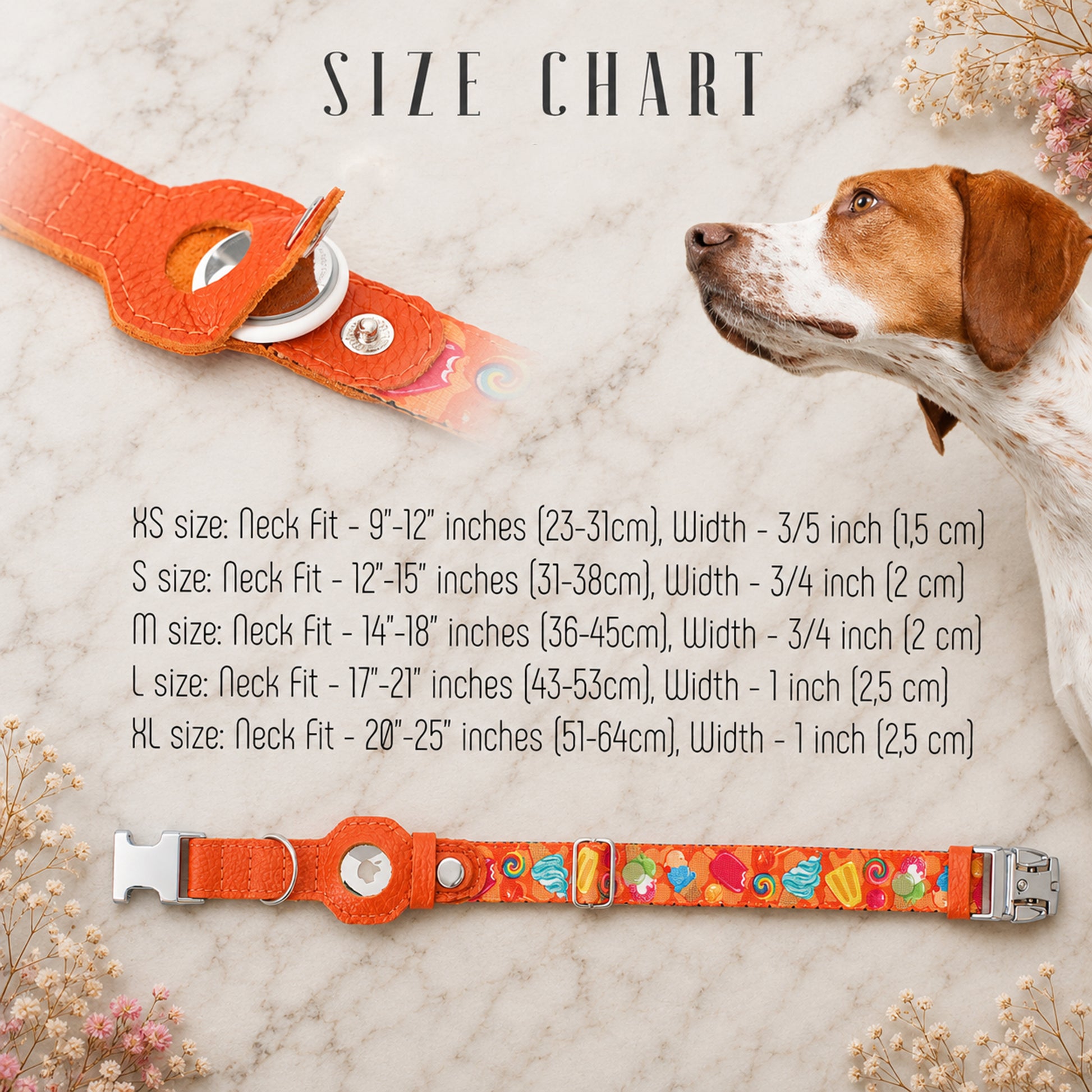 Dog collar size chart with a dog and floral elements on a light background