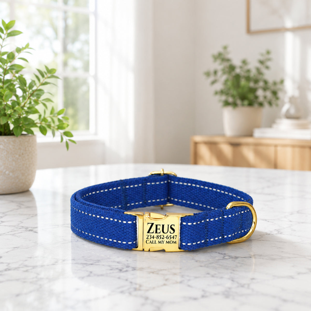 Blue dog collar with gold clasp on a marble surface, plants in the background