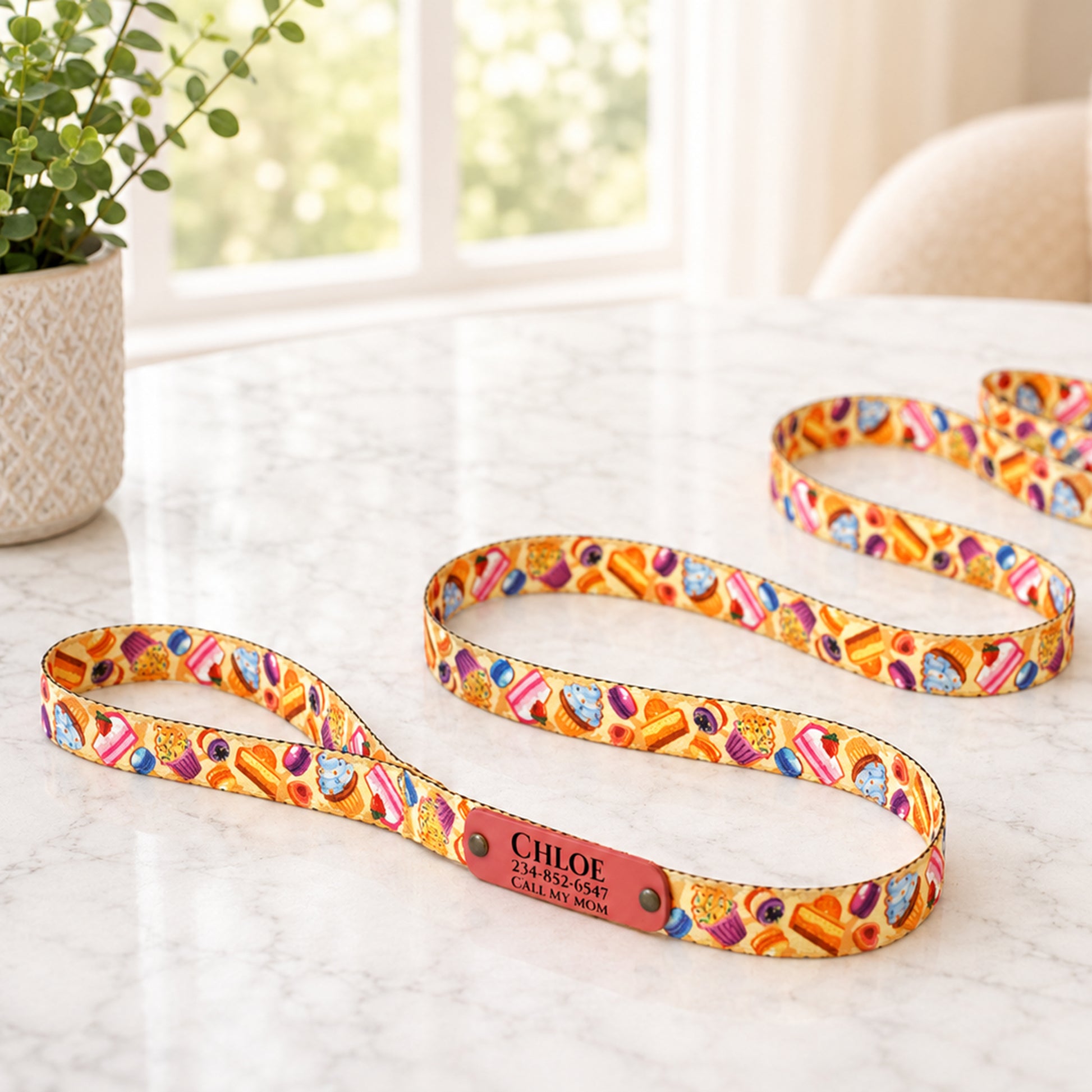 Colorful dog leash with a nameplate on a light surface