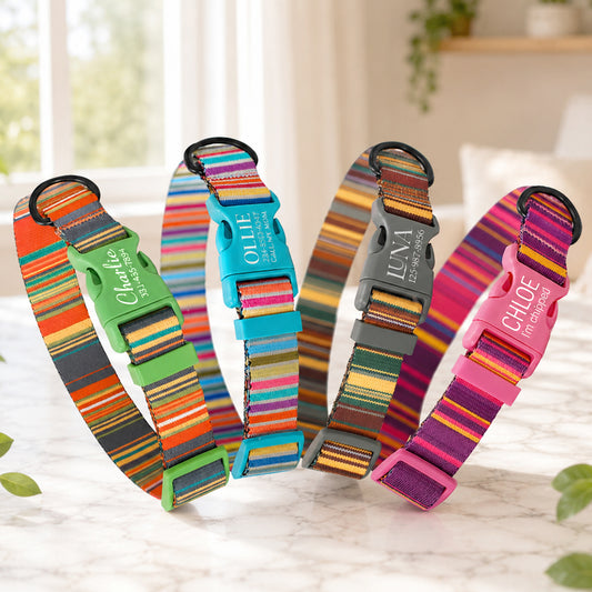 Personalized Nature's Palette dog collar – artistic print, main product photo