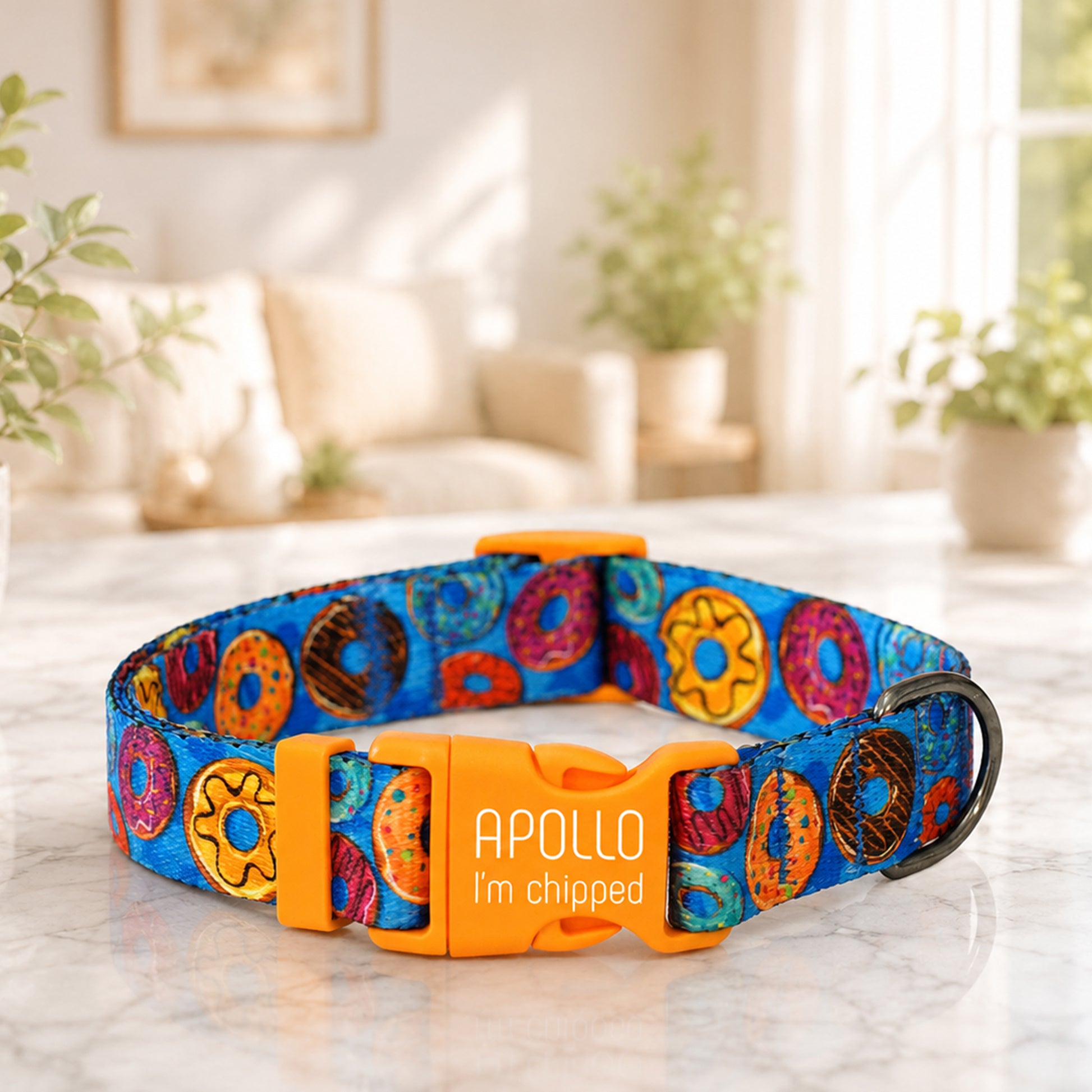 Colorful dog collar with 'Apollo I'm chipped' tag on a marble surface