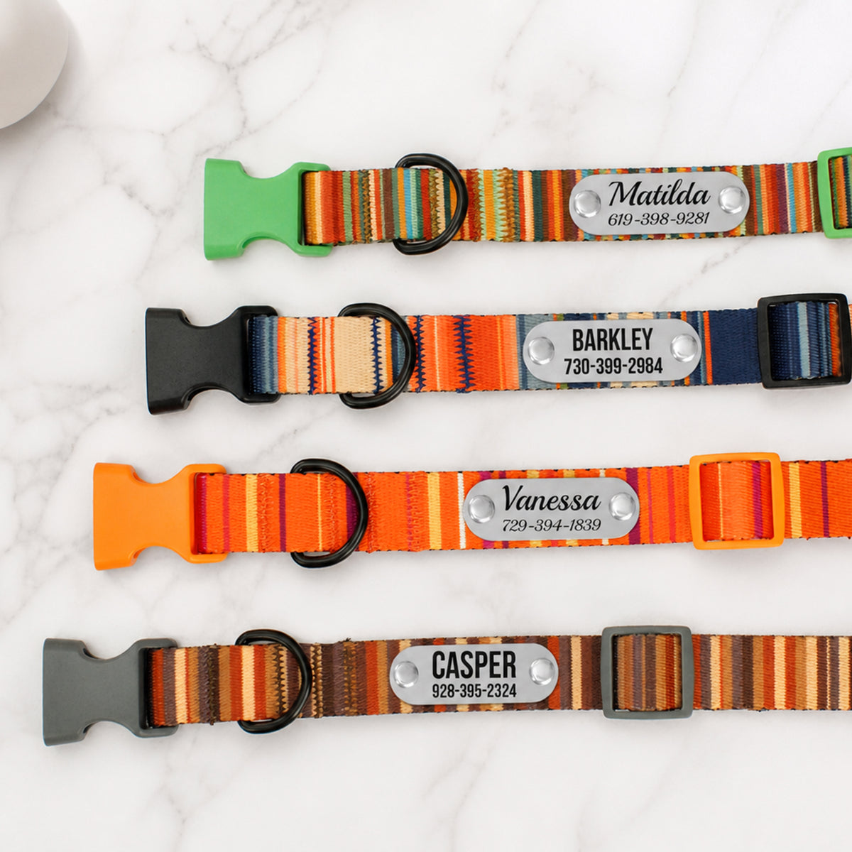 Nomad dog collar – engraved ID plate and buckle close-up
