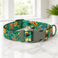States Edition dog collar – adjustable buckle close-up