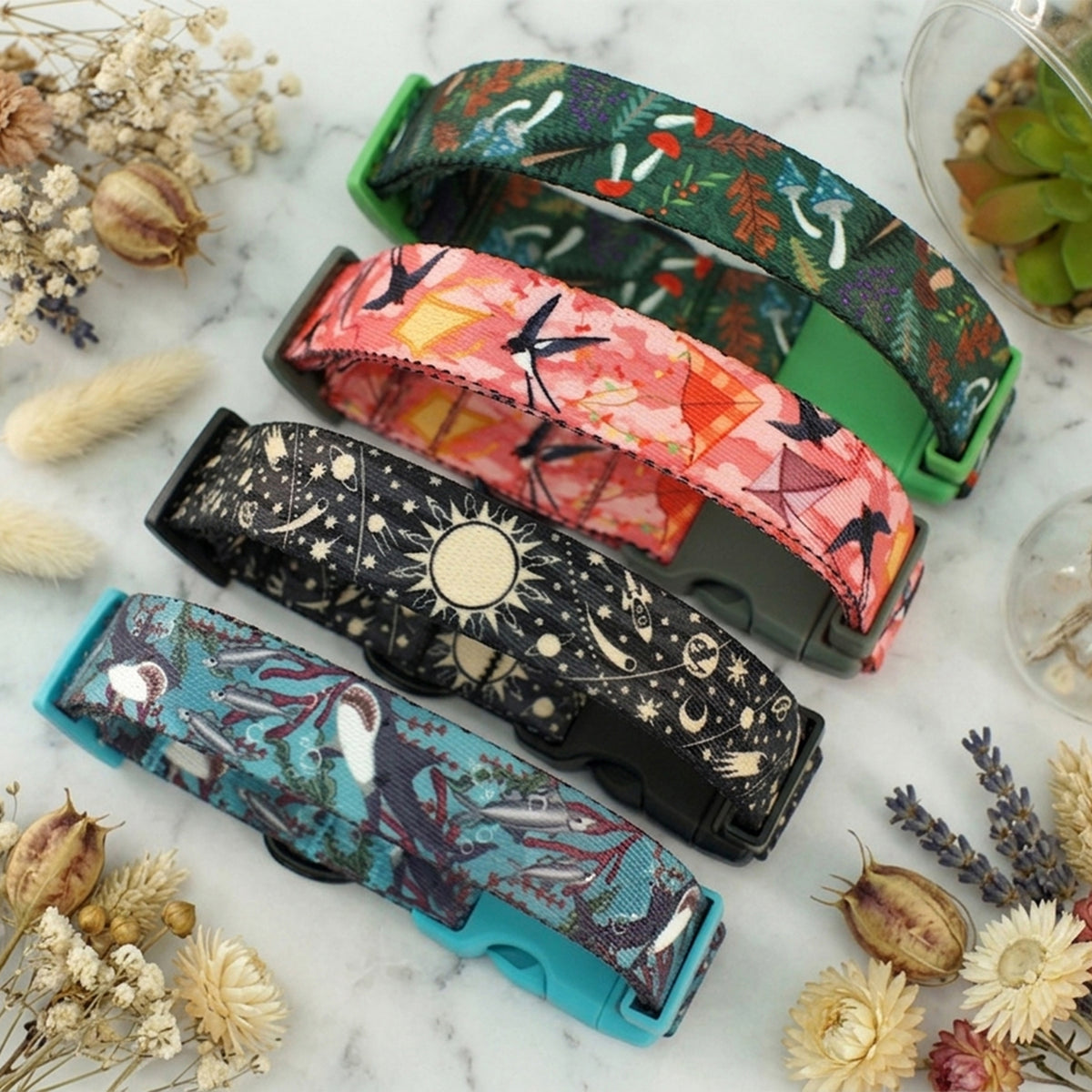 Colorful artisan dog collar with safety buckle – front view