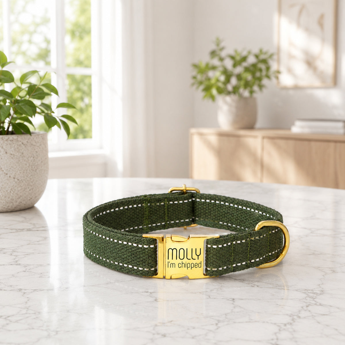 Green dog collar with gold buckle on a marble surface, blurred indoor background