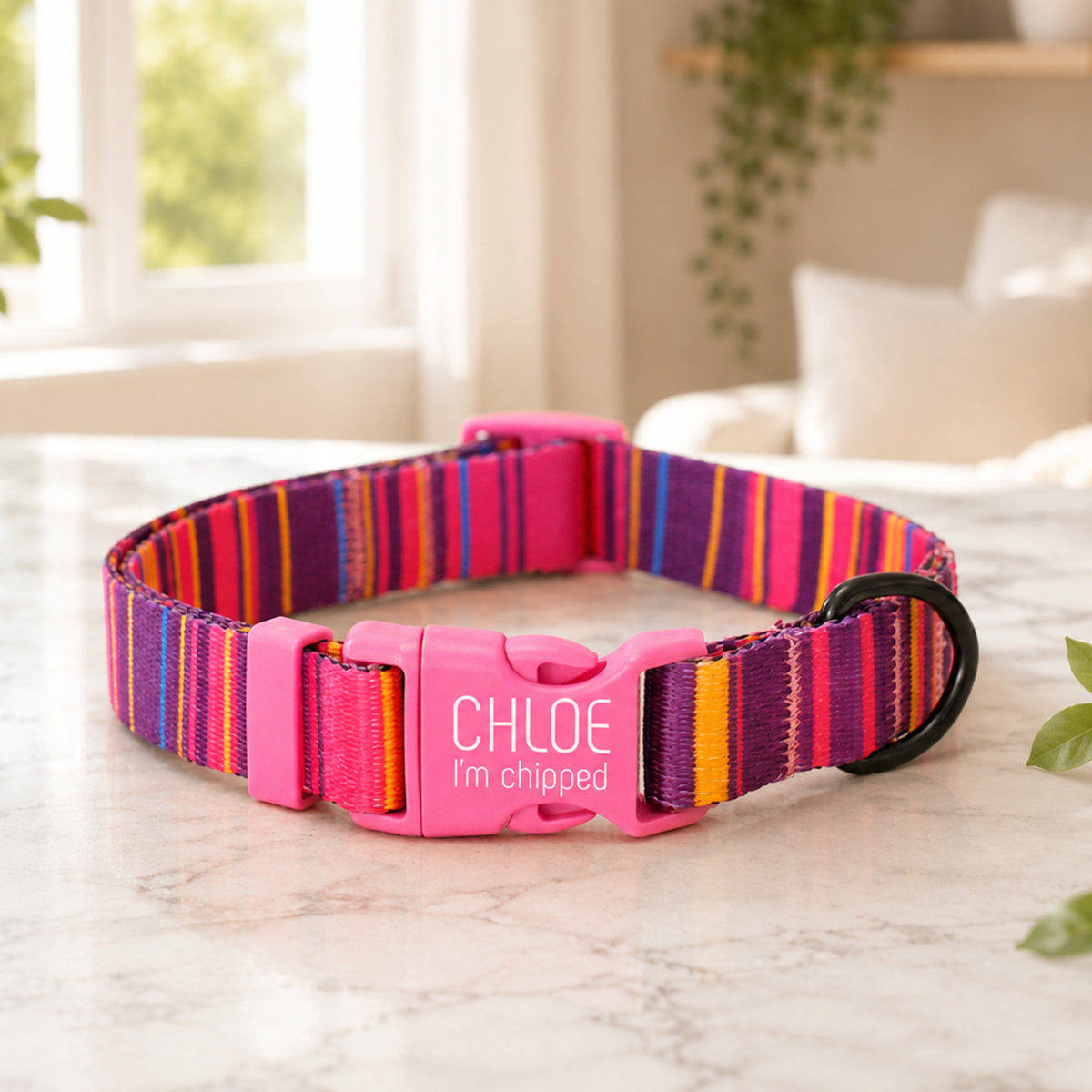 Personalized dog collar with artistic nature print – lifestyle photo