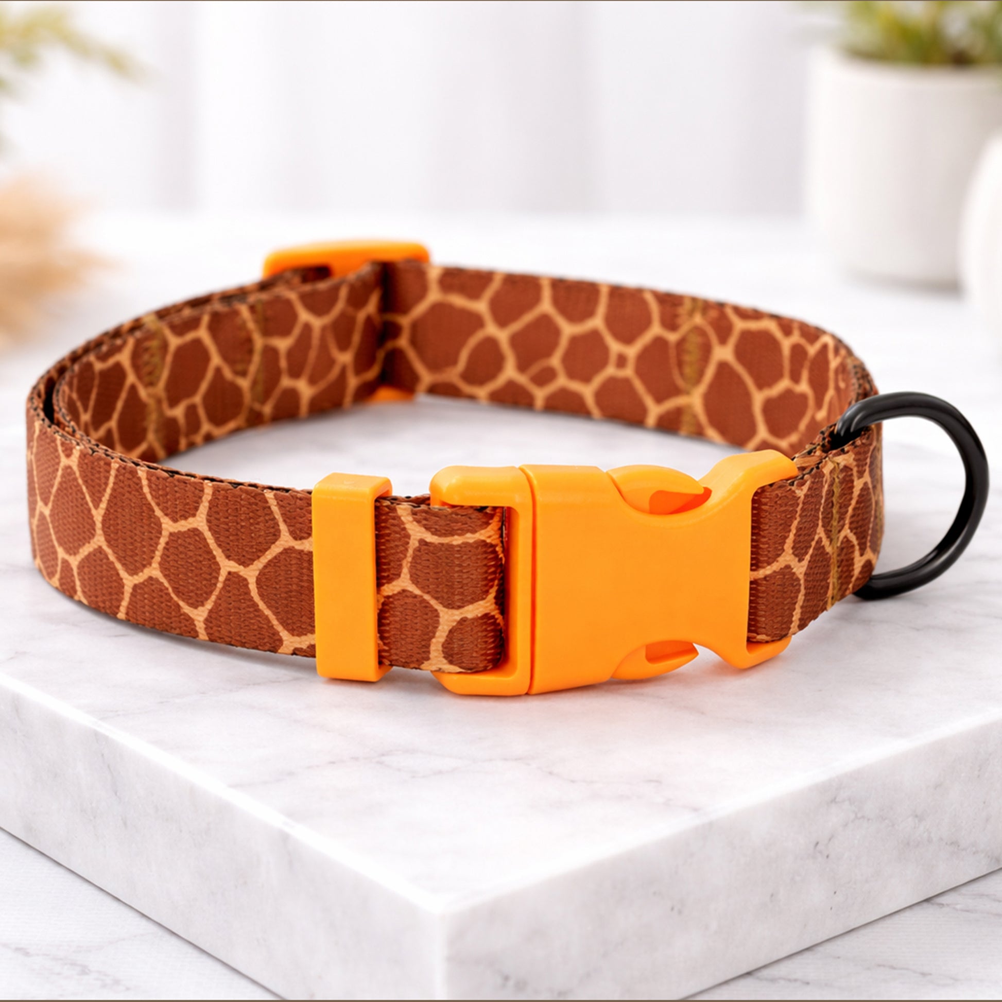 Custom engraved dog collar with animal print – buckle close-up
