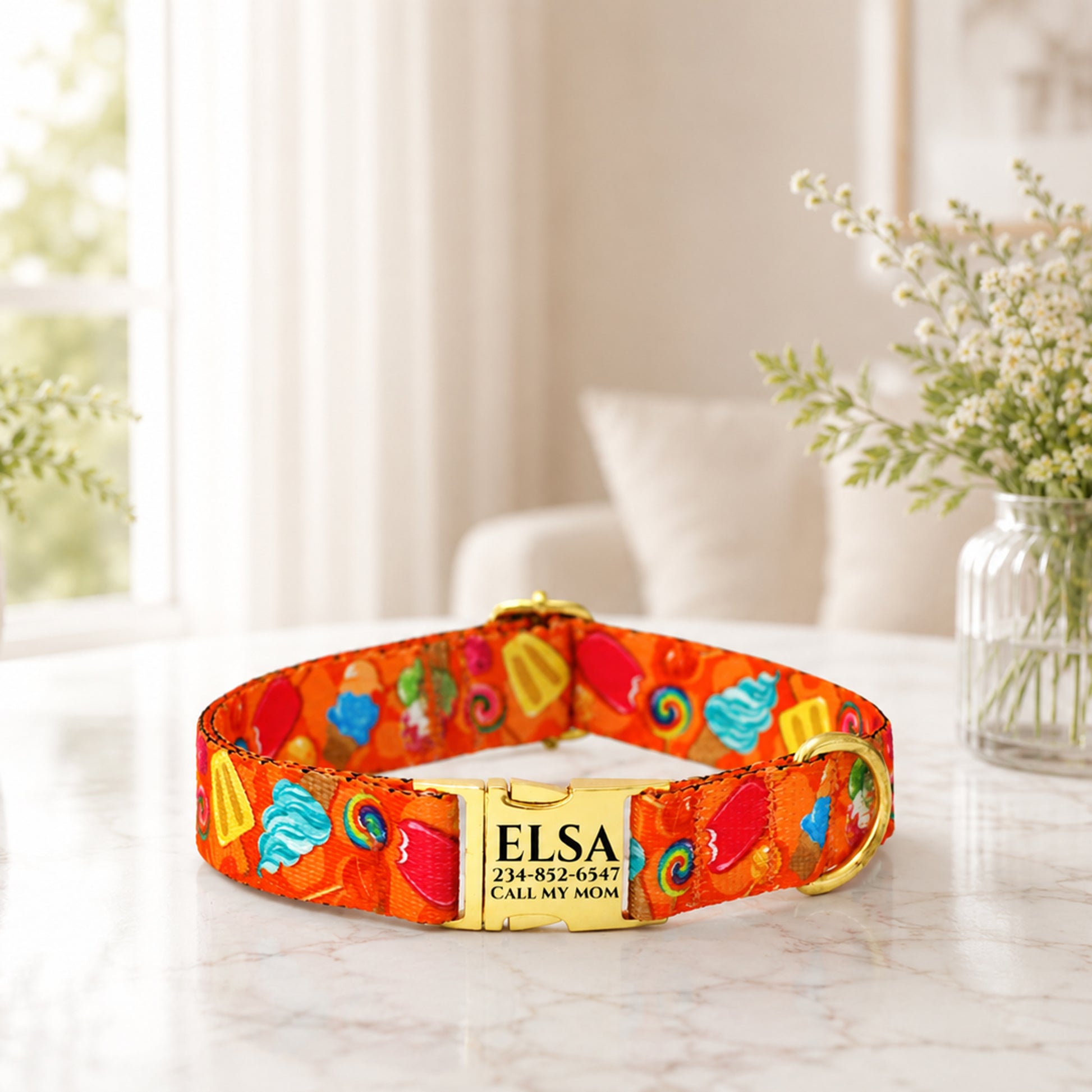 Colorful dog collar with a gold tag on a light surface with a blurred background