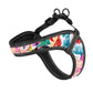 Travel Dog Harness with Name