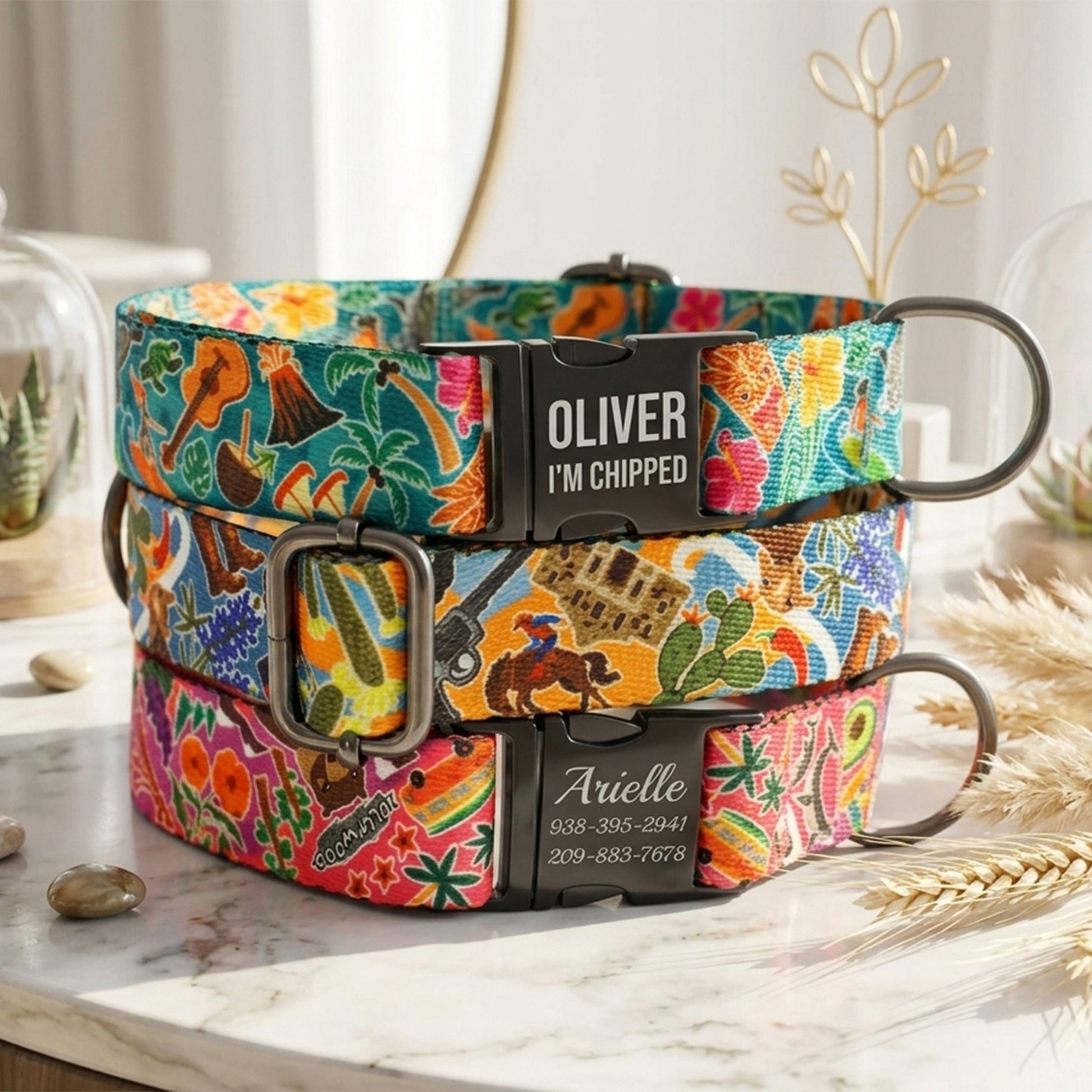 Colorful dog collar with engraved name and contact information on a neutral background