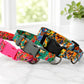 Personalized States Edition dog collar – lightweight comfort, main product photo
