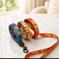 Colorful dog leash and collar set on a white surface with a blurred background
