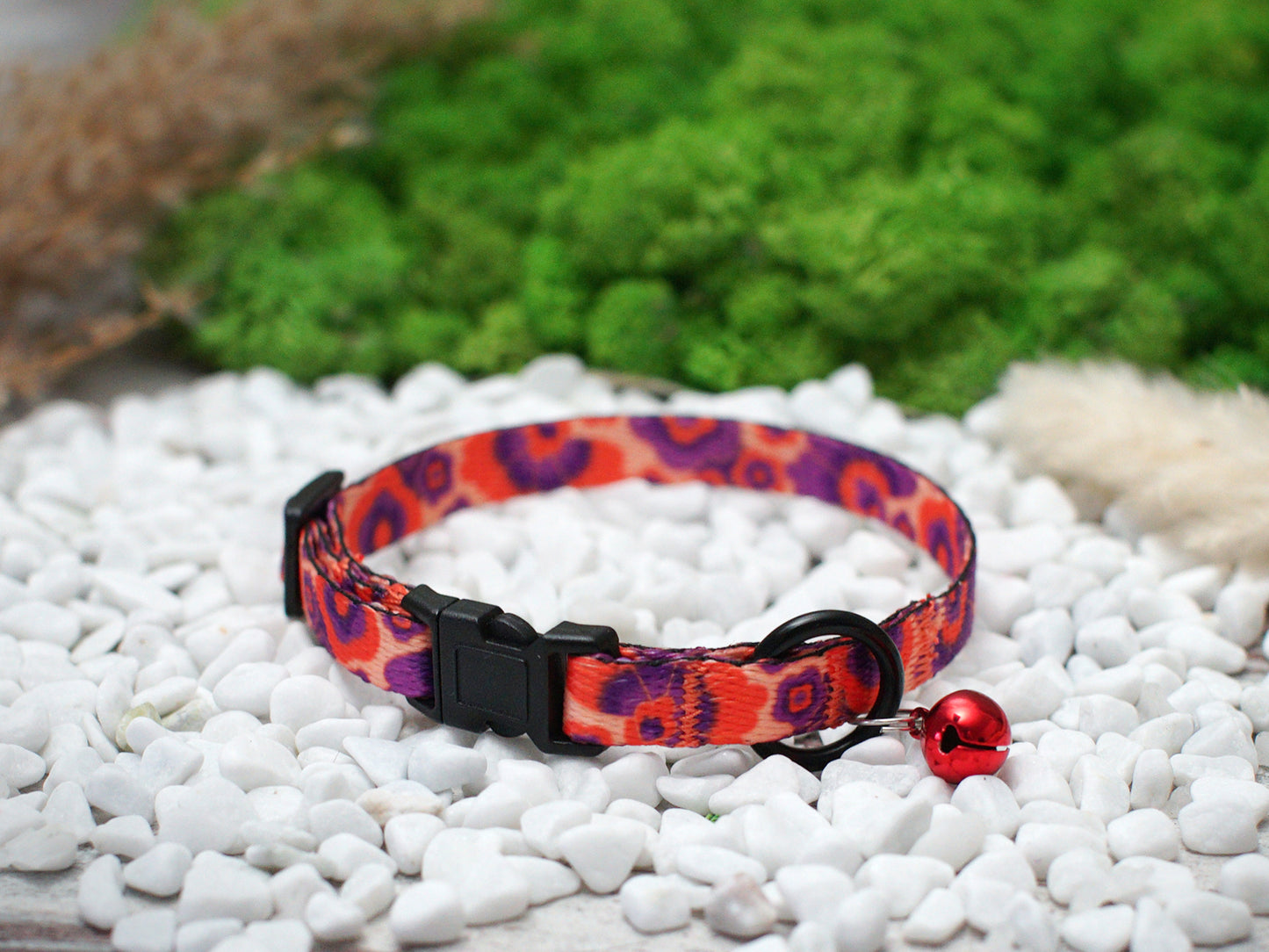 Floral Cat Collar Breakaway with Personalization