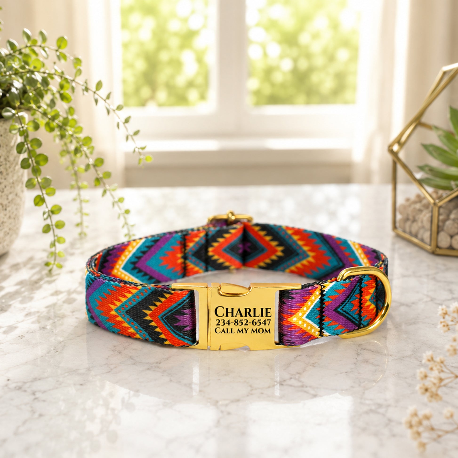 Colorful dog collar with a gold tag on a marble surface, plants in the background