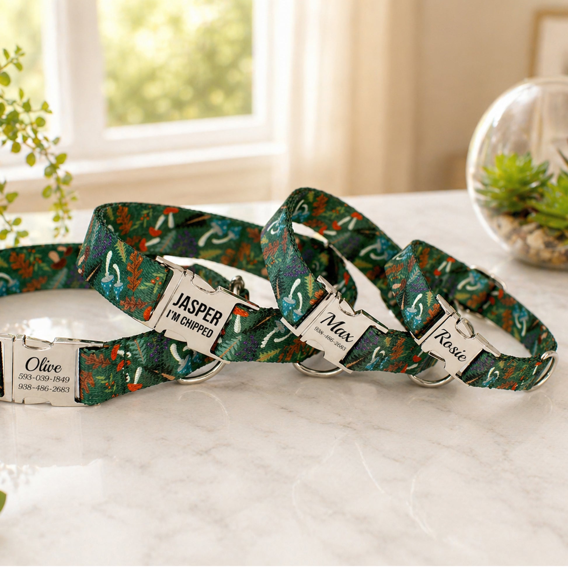 Three dog collars with name tags on a marble surface