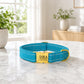 Blue dog collar with gold tag on a marble surface, blurred indoor background