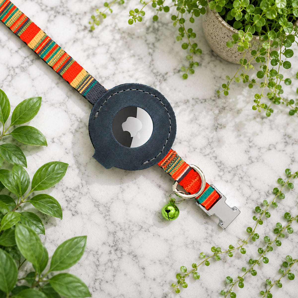 Personalized AirTag cat collar – lifestyle photo on cat