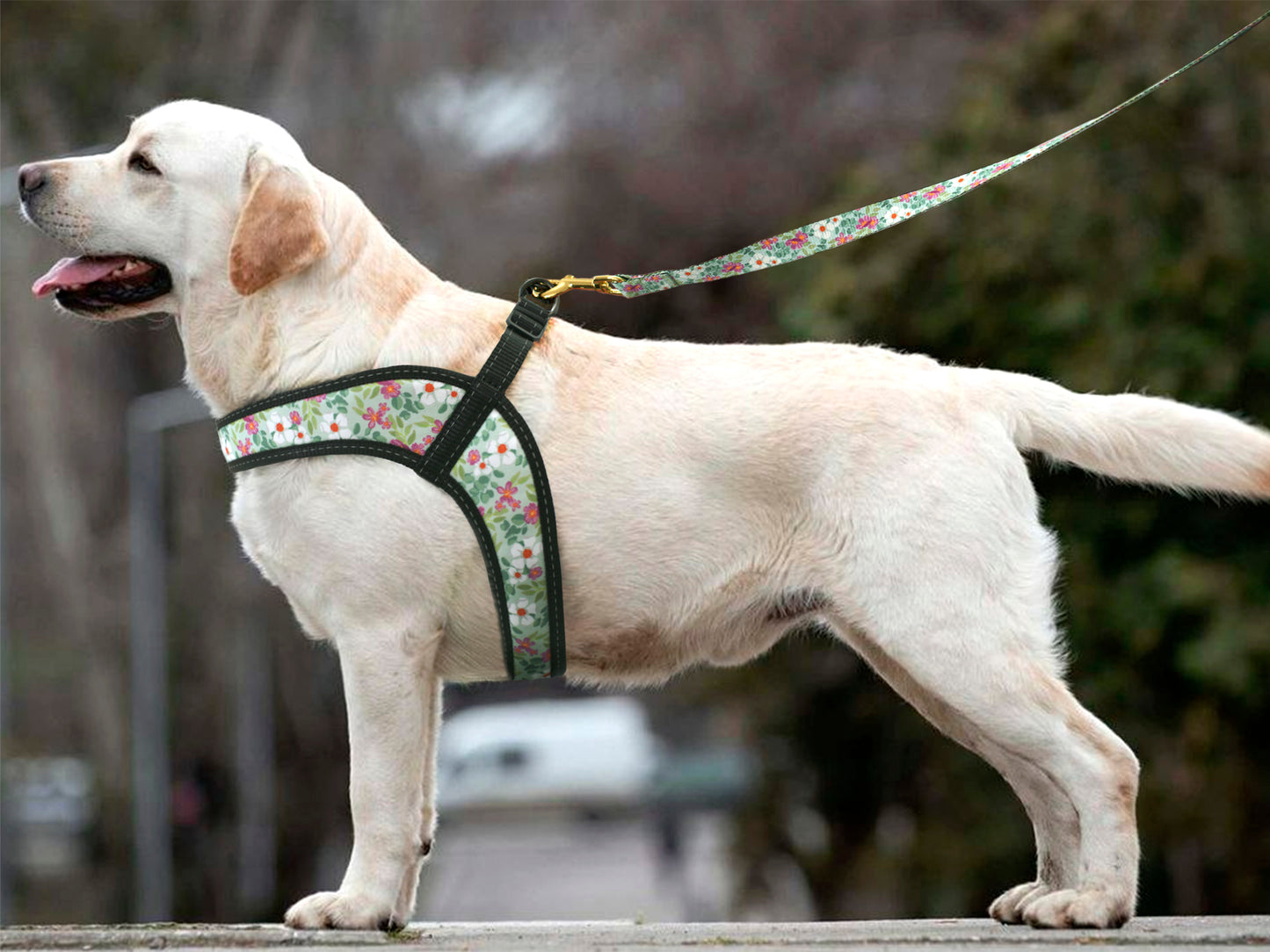 Flowers Pattern Dog Harness