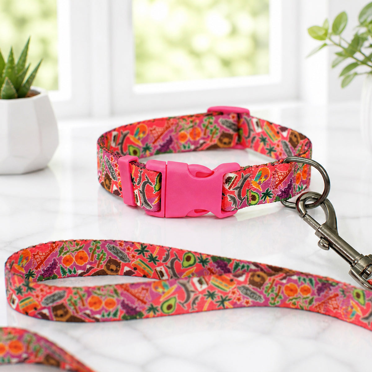 Personalized States Edition dog collar – color variant overview