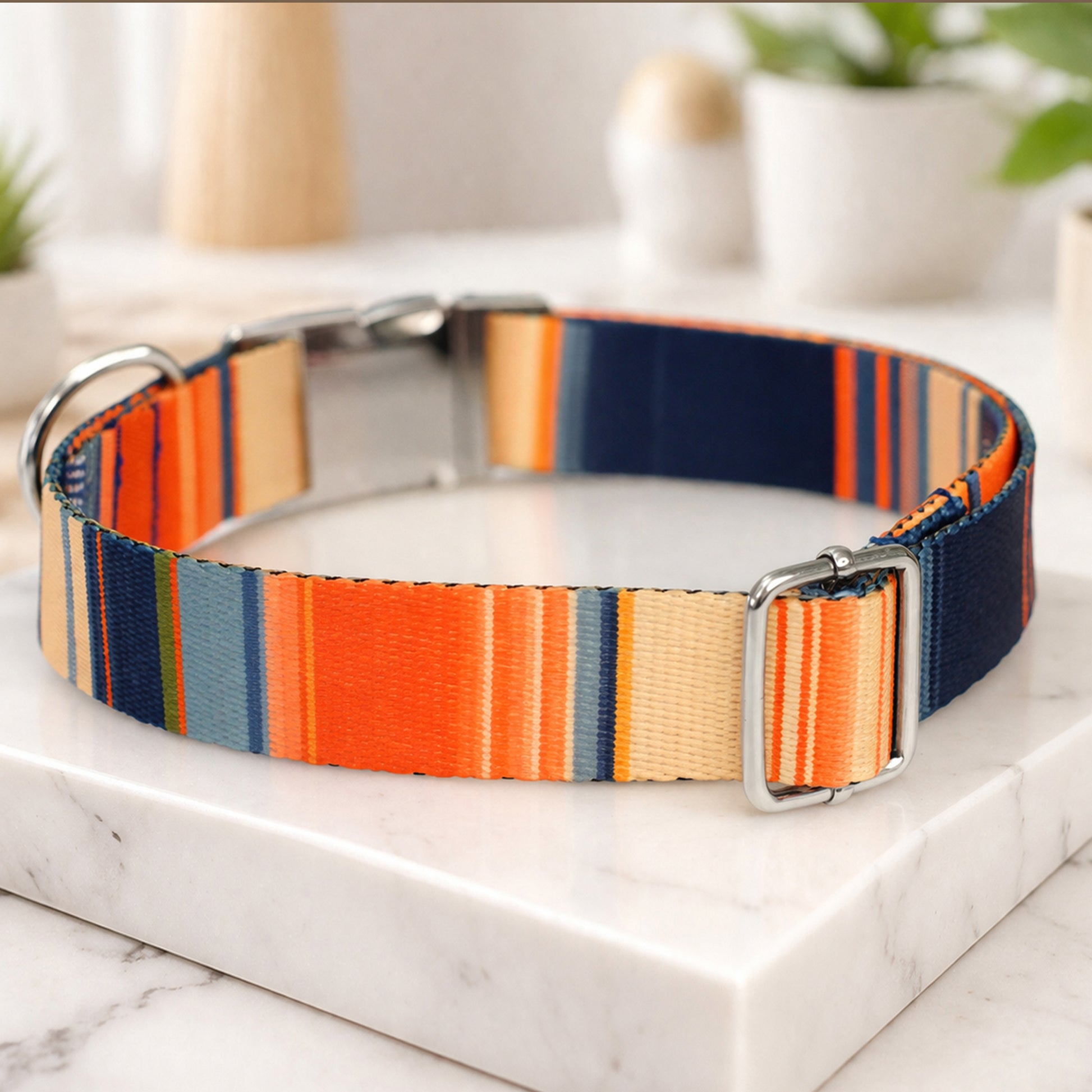 Striped dog collar with metal buckle – size and fit reference