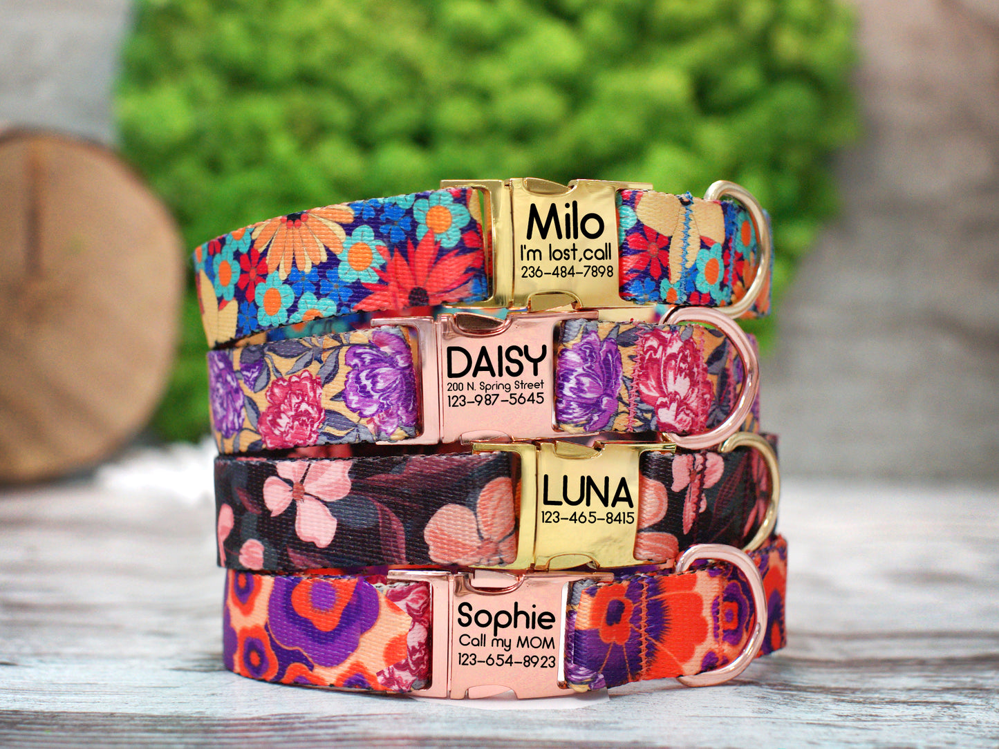 Floral Dog Collar with Metal Buckle