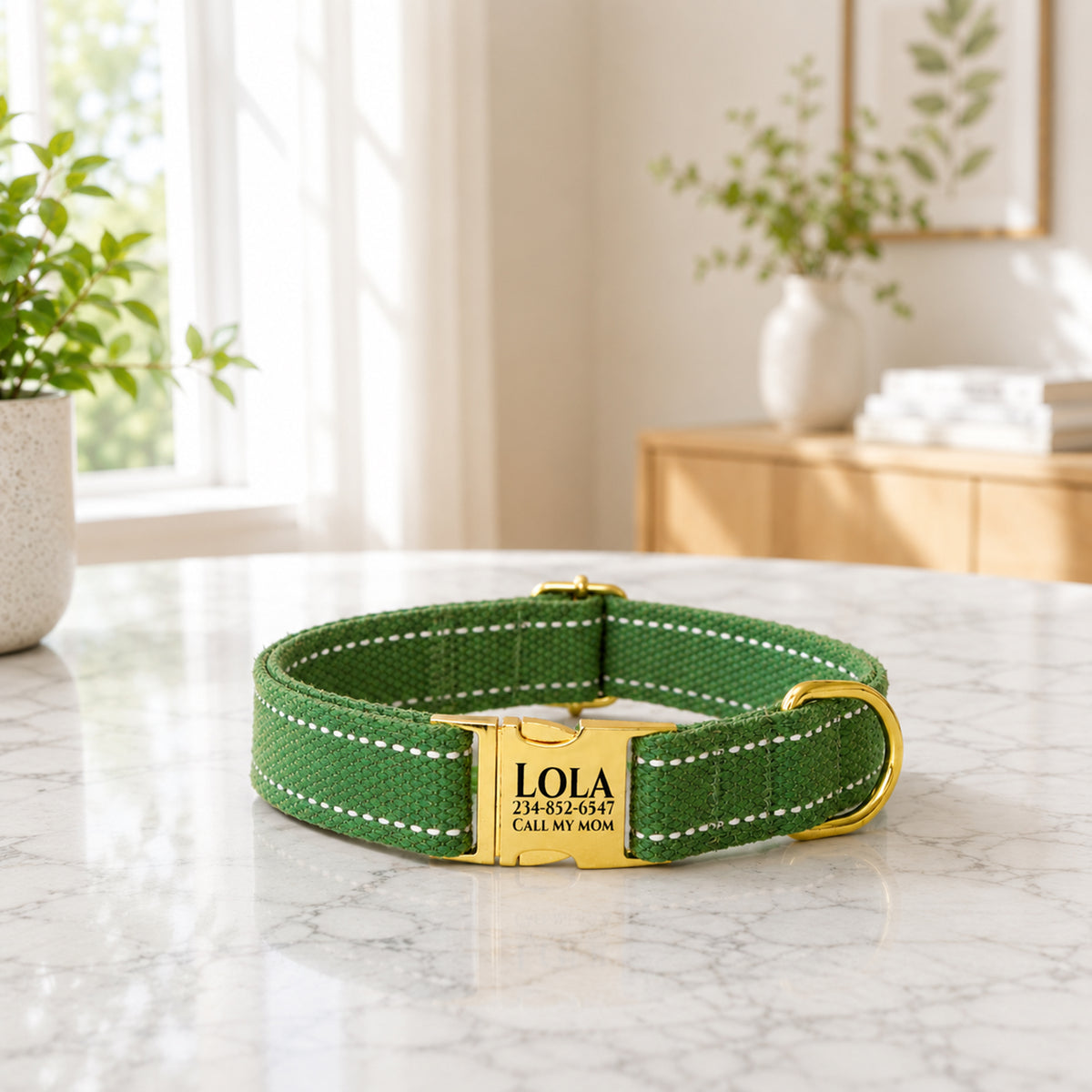 Green dog collar with gold tag on a marble surface in a bright room with plants.