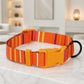 Nomad dog collar – pattern and print detail close-up