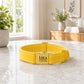 Yellow dog collar with engraved text on a marble surface, with a home interior background.