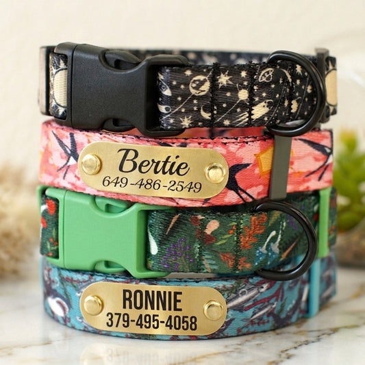 Three colorful dog collars with nameplates on a marble surface