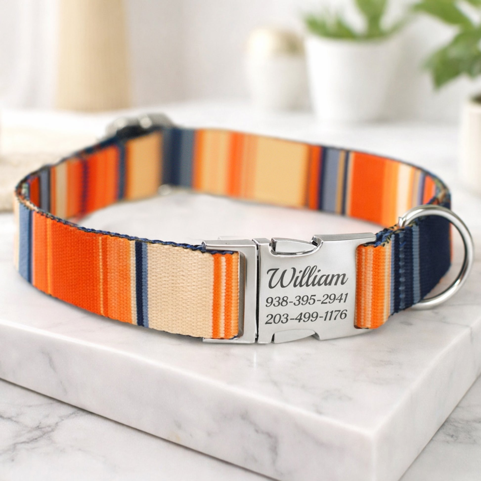 Personalized striped dog collar – color variants overview