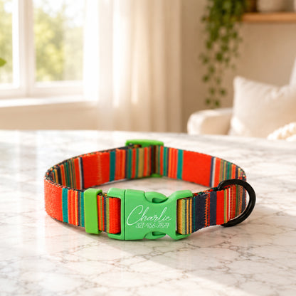 Nature's Palette dog collar – custom engraved safety buckle front view