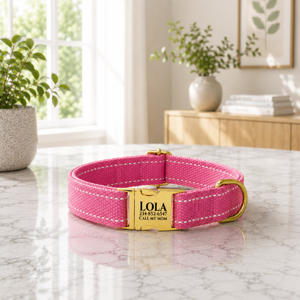 Pink dog collar with gold tag on a marble surface, indoor setting with plants and furniture.