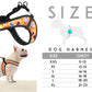 Girl Dog Harness Reflective
