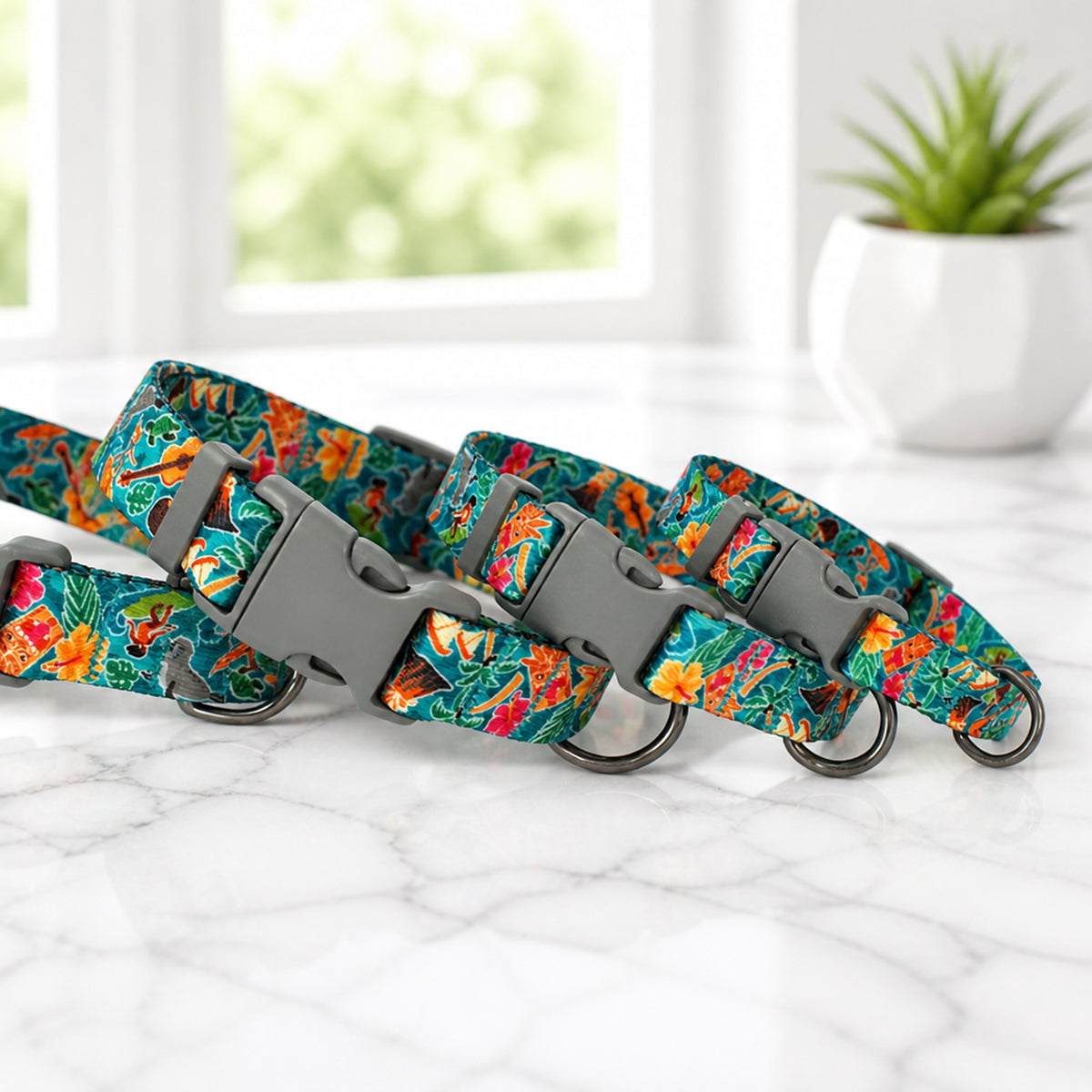 Set of States Edition dog collars with vibrant travel prints
