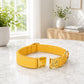 Yellow dog collar with engraved nameplate on a marble surface