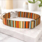 Striped personalized dog collar – texture and material close-up