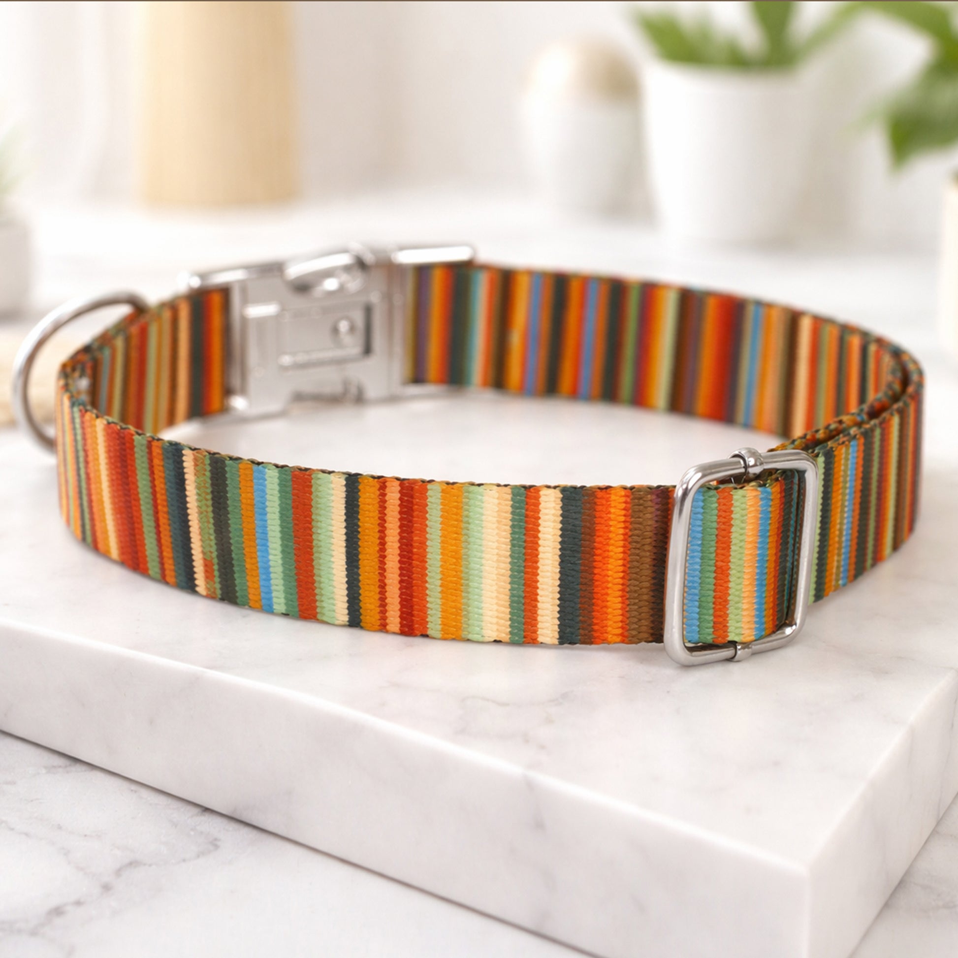 Striped personalized dog collar – texture and material close-up