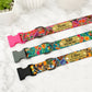 States Edition dog collar – stitching and hardware detail