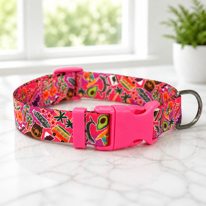 States Edition dog collar – vibrant travel print front view