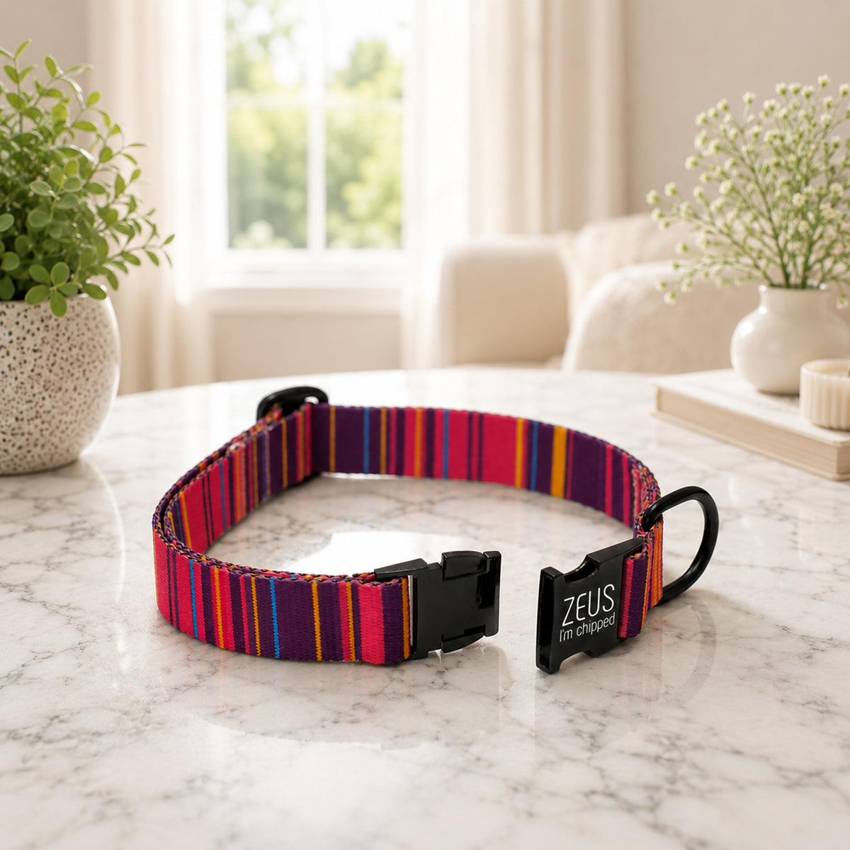 Colorful striped dog collar with 'ZEUS' branding on a marble surface.