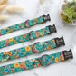 Set of personalized States Edition dog collars with matte black hardware