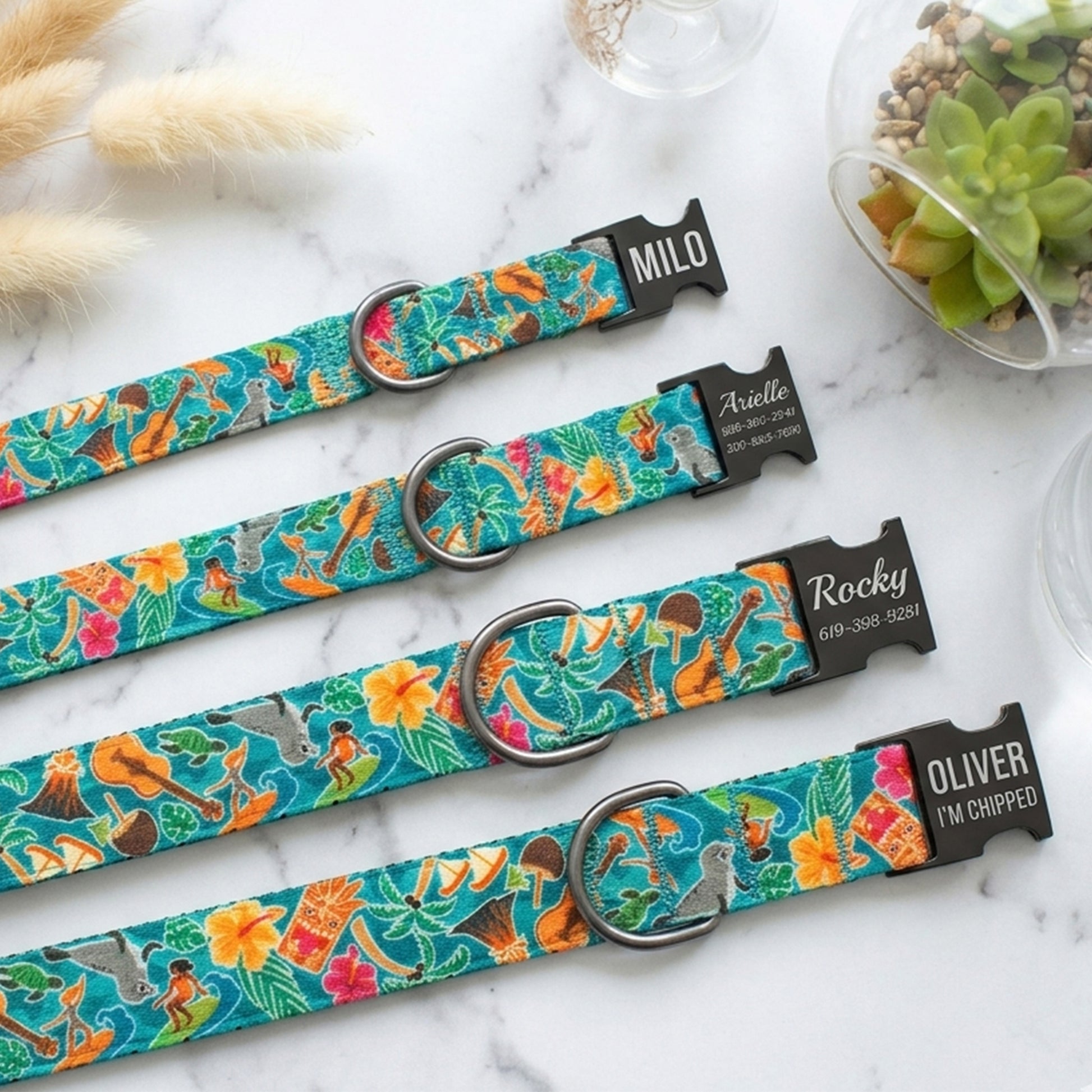 Set of personalized States Edition dog collars with matte black hardware