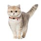 Leather Cat Collar with Breakaway Buckle