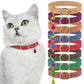 Leather Cat Collar with Classic Buckle